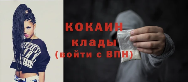 мяу мяу кристалл Великий Новгород