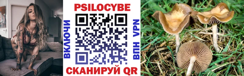 Купить где  Луховицы  Псилоцибиновые грибы ЛСД 